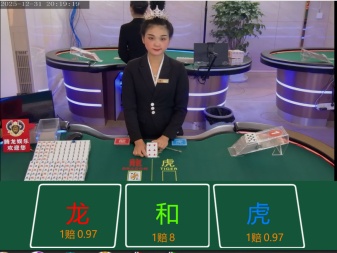 腾龙游戏B介绍